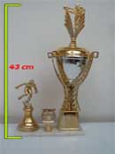 Trofeo Copa de Oro