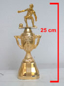 Trofeo Copa 4