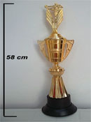 Trofeo Copa 2