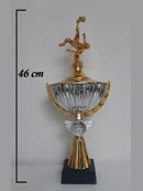 Copa Olímpico Plateado