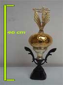 Trofeo Pelota Dorada